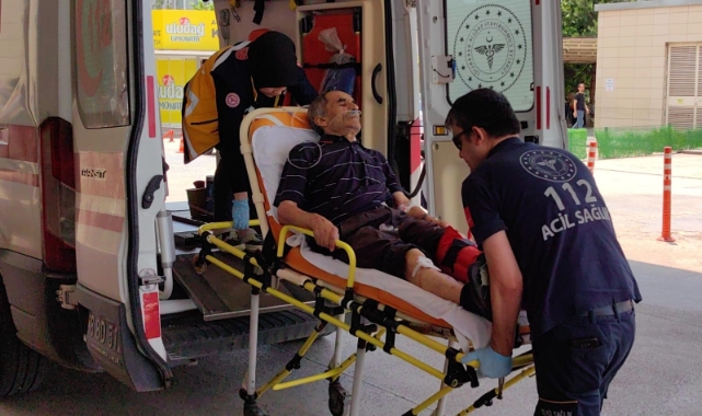 Bursa'da yaşlı adam ıhlamur toplarken düştü