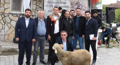 Bursa'daki ağalık yarışında kuzu rekor fiyata satıldı
