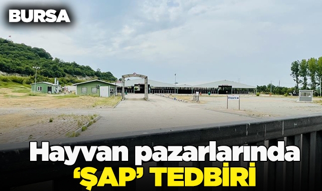 Bursa'daki hayvan pazarlarında şap karantinası