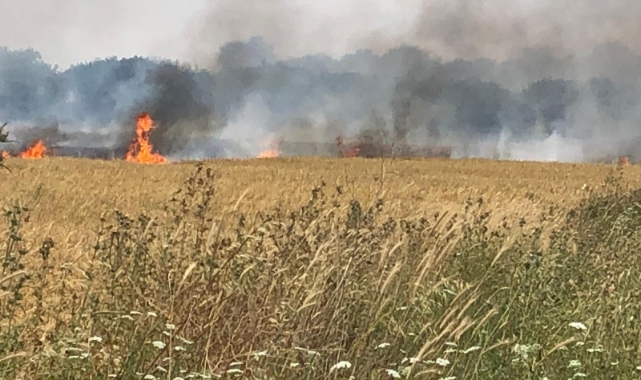 Çanakkale’de 45 dönüm tarım arazisi yanarak kül oldu