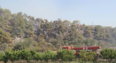 Çanakkale'de ormanlara girişler yasaklandı
