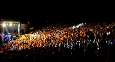 CHP'li vekil Pala'dan konser tepkisi