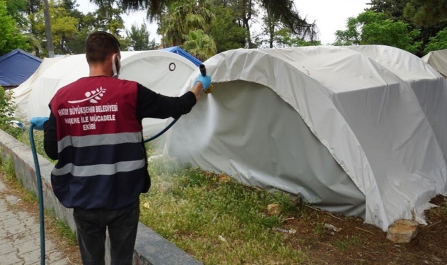 Depremin vurduğu Hatay'ı haşereler talan etti