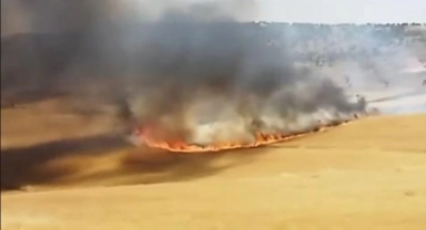 Diyarbakır'da 130 dönümlük buğday tarlası küle döndü