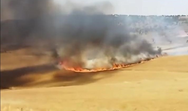 Diyarbakır'da 130 dönümlük buğday tarlası küle döndü