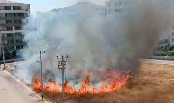 Diyarbakır'da sitelerin arasındaki otlukta yangın