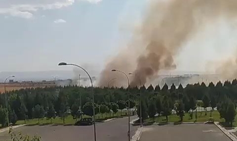 Diyarbakır Havalimanı yanındaki ormanda yangın