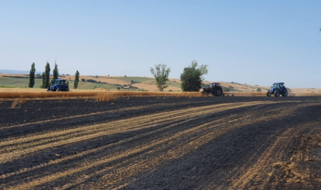 Edirne'de 30 dönüm ekili alan yandı