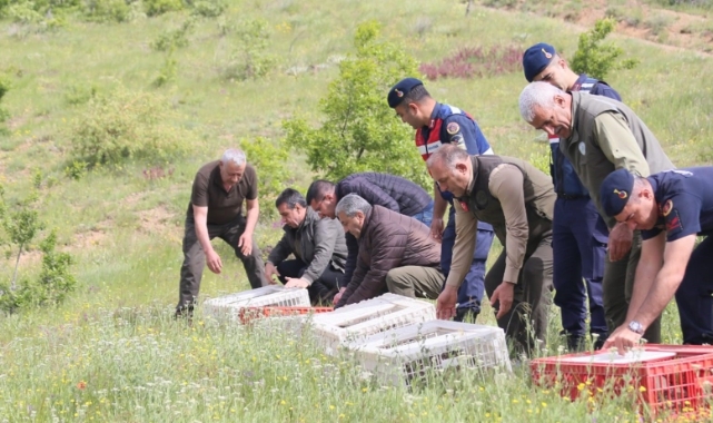 Elazığ’da doğaya keklik salımı yapıldı