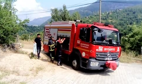 Eve giren yılan itfaiye ekipleri tarafından yakalandı