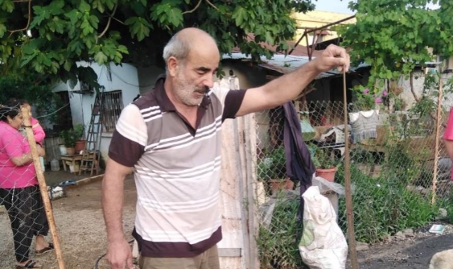 Eve giren yılanı eliyle yakaladı