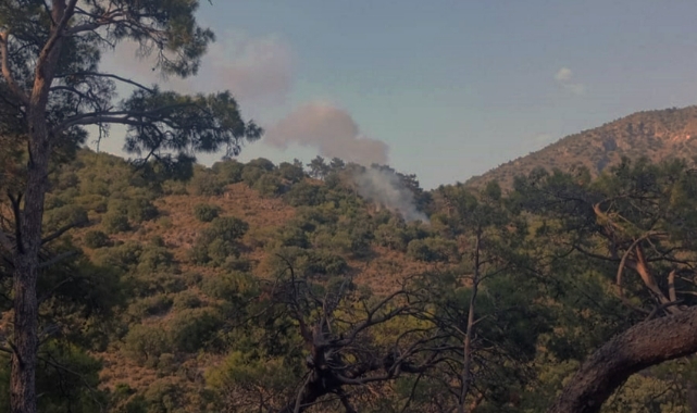 Fethiye’de orman yangını