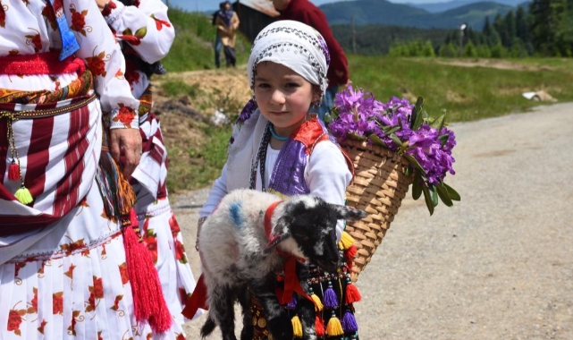 Gelin gibi süslenen hayvanları ile göçe başladılar
