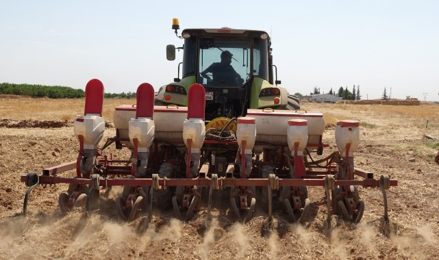 Harran ovasında mısır ekimine başlandı