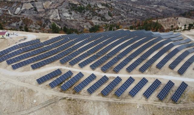 Hayat, enerjisini güneşten alıyor