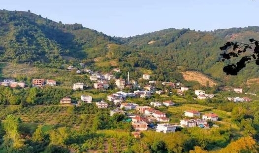 Hırsızlar, Alaplı'da boş evlere dadandı