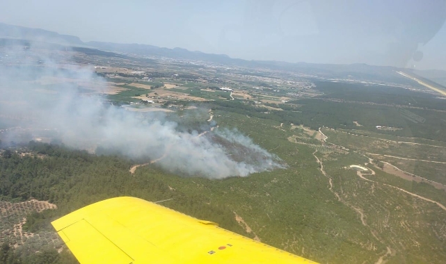 İzmir’de orman yangını