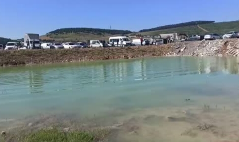 Kaçan kurbanlık hayvana, sahibi sopayla vurdu