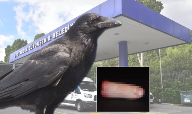 Karganın bıraktığı parmaklarla ilgili otopsi raporu çıktı