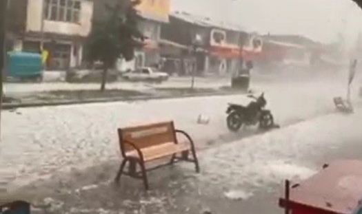 Kars'ta tarım arazileri zarar gördü