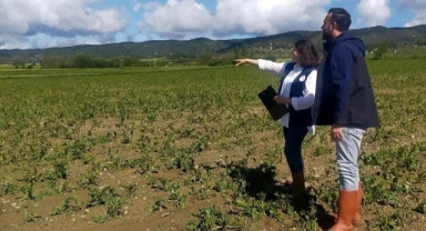 Kastamonu'da sel sonrası hasar tespiti sürüyor