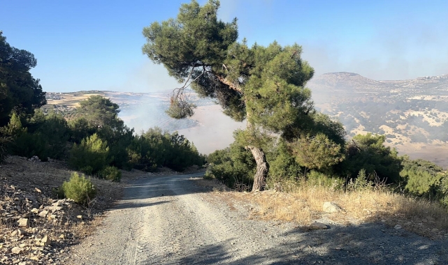 Kilis'te korkutan orman yangını