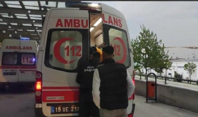 Kooperatif bekçisi, ağaçtan erik toplayan kişiyi vurdu