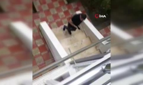 Köpeğe tekme iddiası ortalık karıştırdı