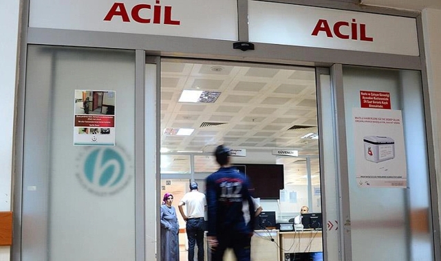 Koyunlarını otlatırken feci şekilde can verdi!