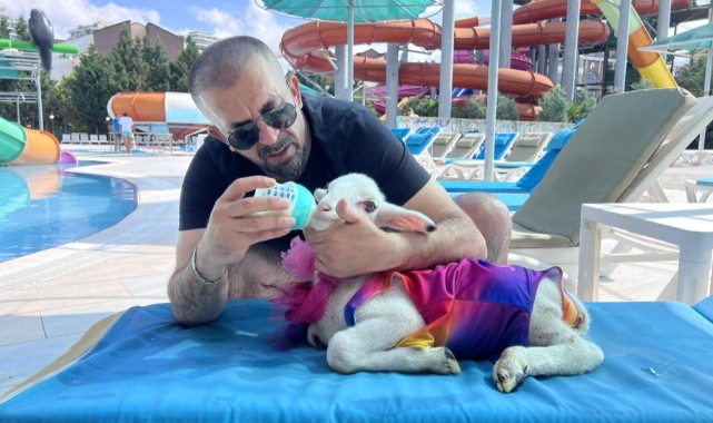 Kurban Bayramı öncesi kuzusuyla tatil yaptı