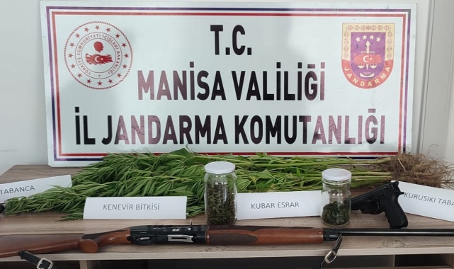 Manisa’da 45 kök kenevir ve 30 gram esrar ele geçirildi