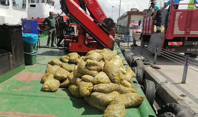 Marmara Denizi'nde "kaçak midye" operasyonu
