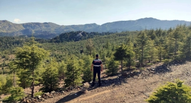 Muğla'da ormanlara giriş yasaklandı