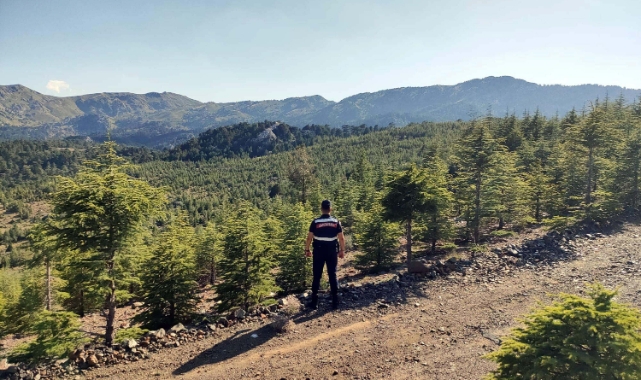 Muğla'da ormanlara giriş yasaklandı
