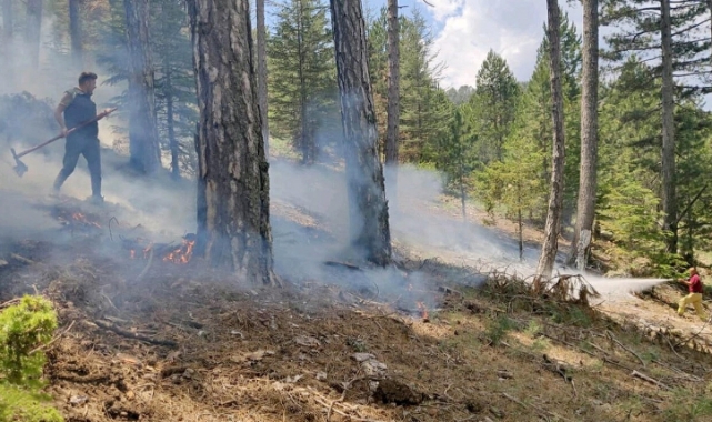 Muğla'da yıldırımlar 28 orman yangınına neden oldu