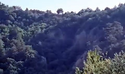 Ormanda yürüyüş yaparken uçuruma düştü