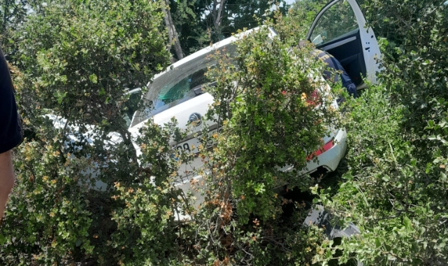 Otomobil makilik alana uçtu; 1 yaralı