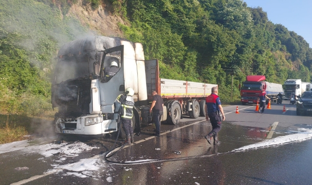 Seyir halindeki TIR alev alev yandı
