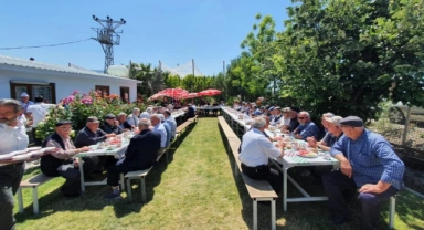 Ulu çınarları buluşturan gelenek