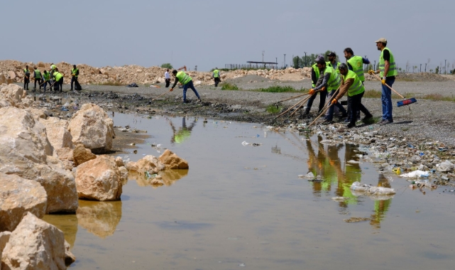 Van Gölü sahilinde 25 ton çöp toplandı