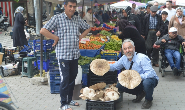 Yağmur yağışları sonrası mantar bereketi