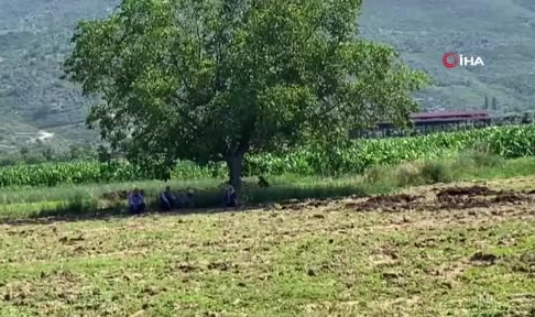 Yaşlı kadının cesedi ölümünden günler sonra bulundu