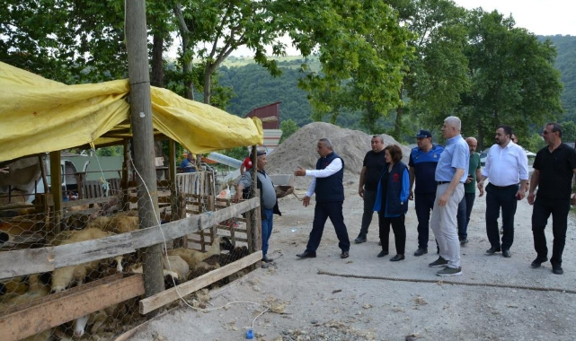 Yetkililer uyardı! "Oralarda kurban kesmek yasak"