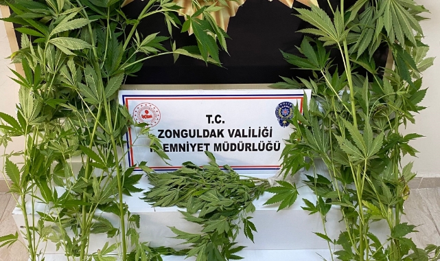 Zonguldak'ta uyuşturucu operasyonu