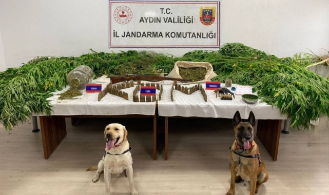 6 ayda 50 ton uyuşturucu madde ele geçirildi