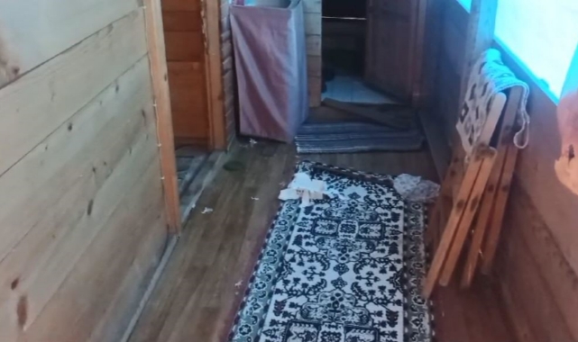 Aç kalan ayılar yayla evlerini talan etti