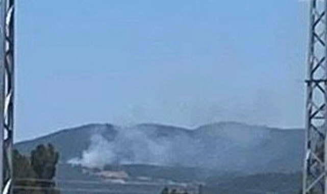 Adana'da orman yangını