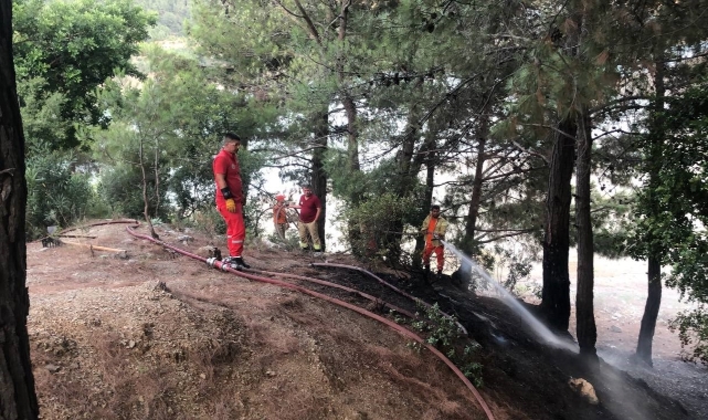 Adana’da orman yangını