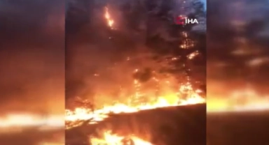 Adana'da orman yangını kontrol altına alındı