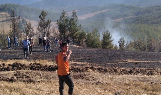 Adana'da orman yangını kontrol altına alındı